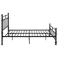 Novak 48-inch Metal Eastern King Open Frame Bed Matte Black